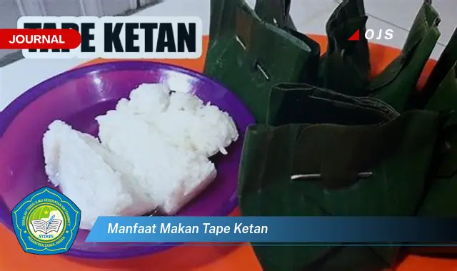 manfaat makan tape ketan manfaat makan tape ketan