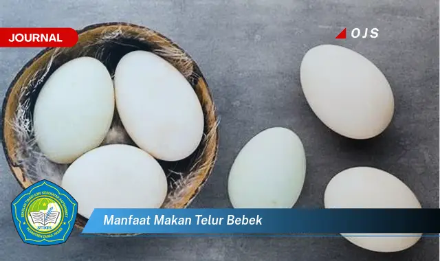 manfaat makan telur bebek