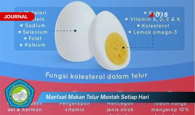 manfaat makan telur mentah setiap hari manfaat makan telur mentah setiap hari