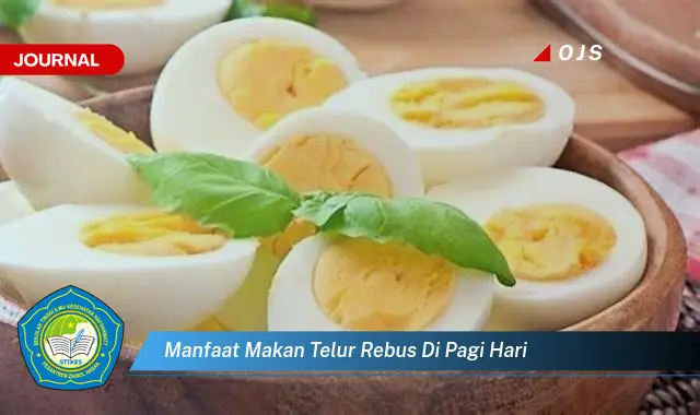 manfaat makan telur rebus di pagi hari