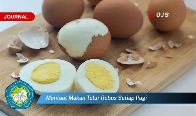 manfaat makan telur rebus setiap pagi manfaat makan telur rebus setiap pagi