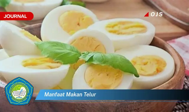 manfaat makan telur