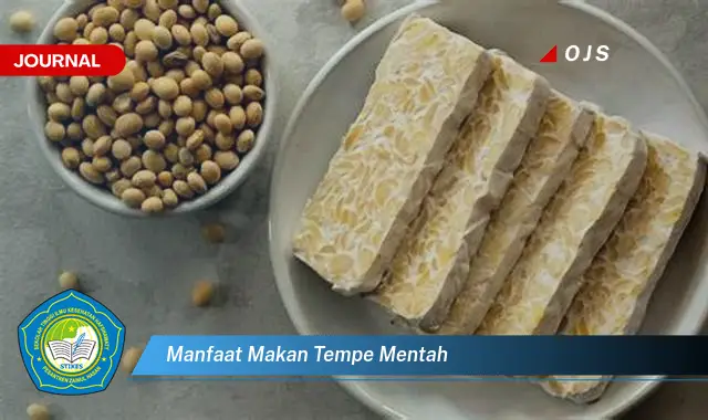 manfaat makan tempe mentah