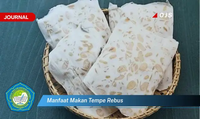 manfaat makan tempe rebus