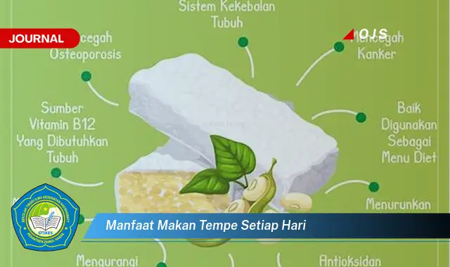 manfaat makan tempe setiap hari