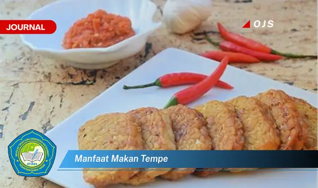 manfaat makan tempe