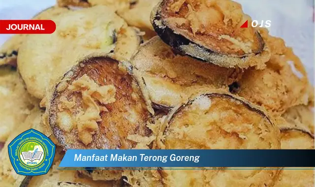 manfaat makan terong goreng