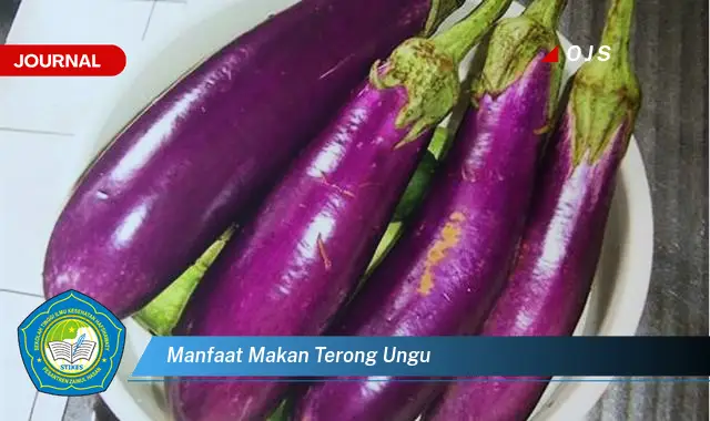 manfaat makan terong ungu manfaat makan terong ungu
