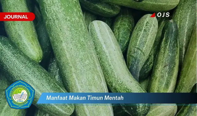 Temukan 6 Manfaat Makan Timun Mentah yang Bikin Kamu Penasaran - E-Journal