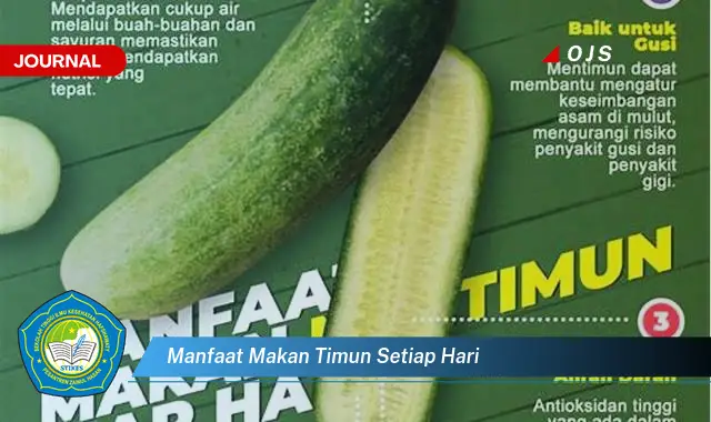 manfaat makan timun setiap hari