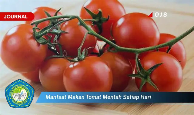 manfaat makan tomat mentah setiap hari