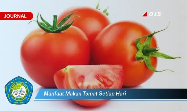 manfaat makan tomat setiap hari