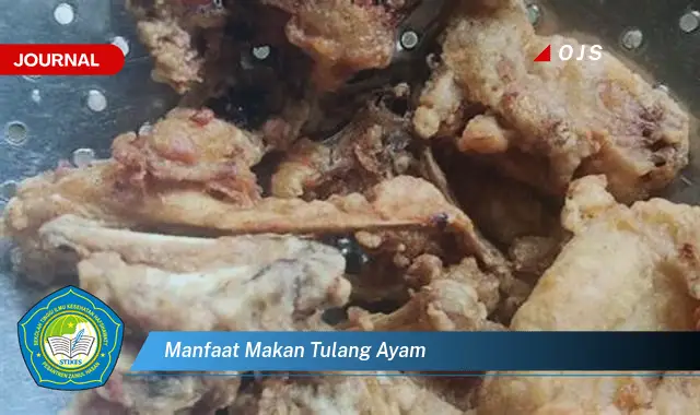 manfaat makan tulang ayam