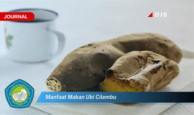 manfaat makan ubi cilembu