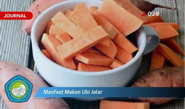 Intip 6 Manfaat Makan Ubi Jalar yang Bikin Kamu Penasaran - E-Journal