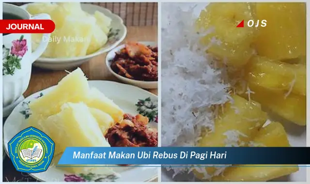 manfaat makan ubi rebus di pagi hari