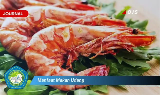 manfaat makan udang manfaat makan udang