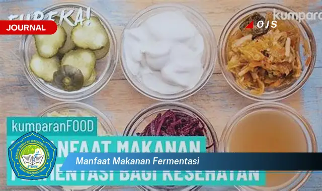 manfaat makanan fermentasi