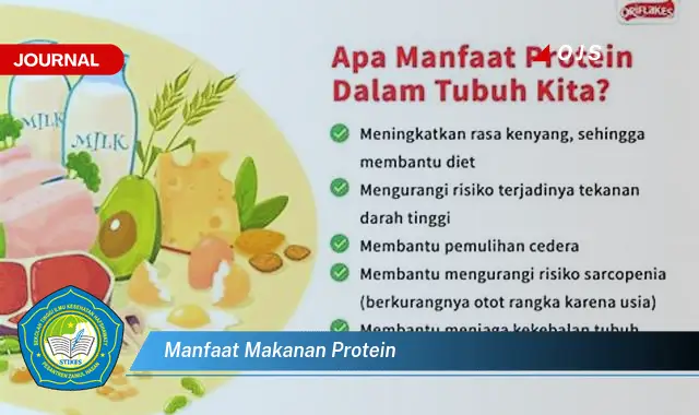 manfaat makanan protein