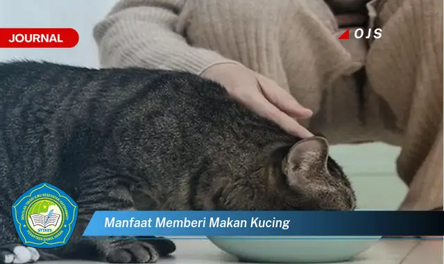 manfaat memberi makan kucing manfaat memberi makan kucing