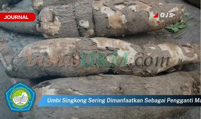 umbi singkong sering dimanfaatkan sebagai pengganti makanan pokok karena