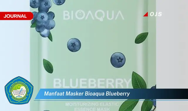 manfaat masker bioaqua blueberry