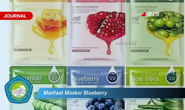 manfaat masker blueberry