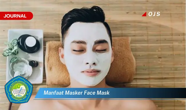 manfaat masker face mask