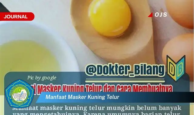 manfaat masker kuning telur