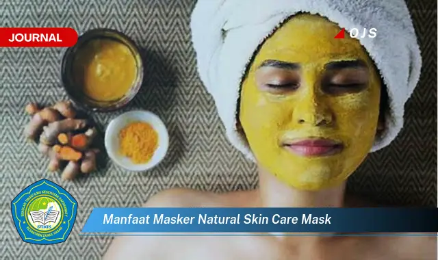 manfaat masker natural skin care mask