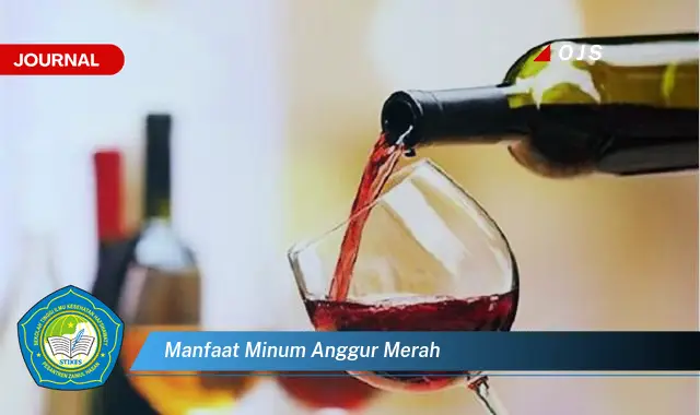 manfaat minum anggur merah