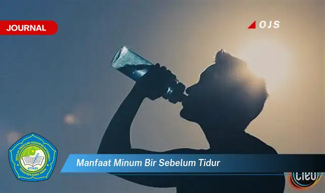 manfaat minum bir sebelum tidur