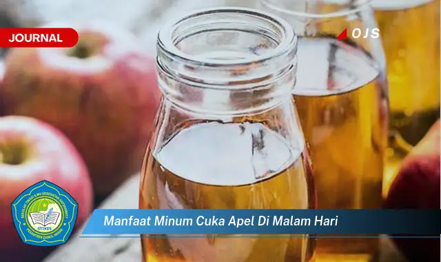 manfaat minum cuka apel di malam hari
