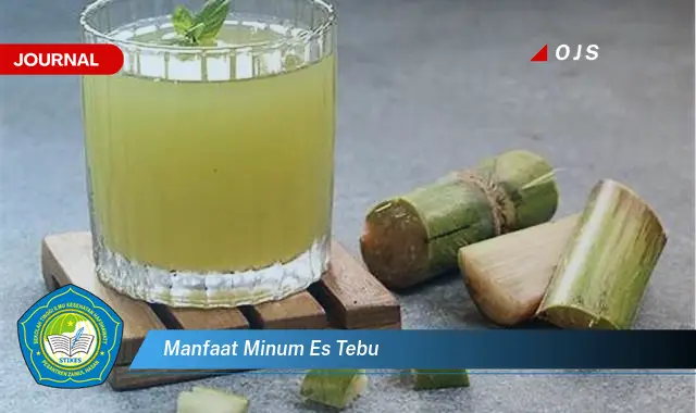 manfaat minum es tebu