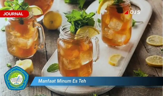 Ketahui 6 Manfaat Minum Es Teh yang Wajib Kamu Intip - E-Journal