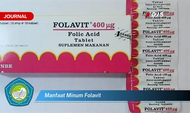 manfaat minum folavit manfaat minum folavit