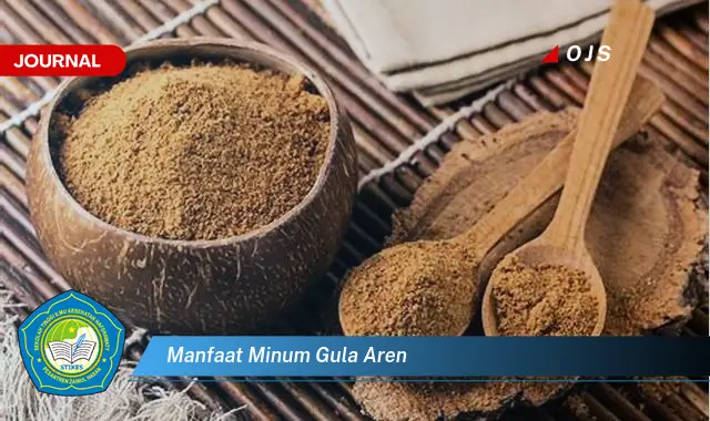 manfaat minum gula aren manfaat minum gula aren
