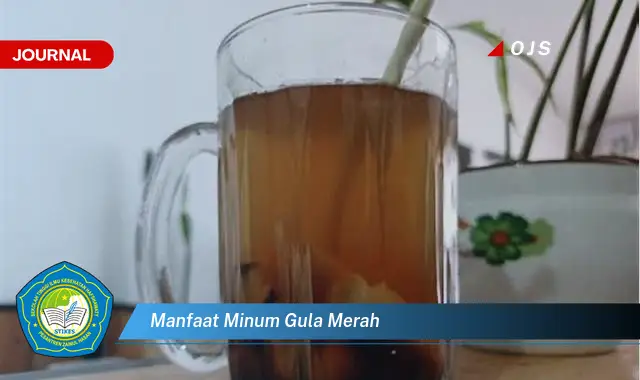 manfaat minum gula merah