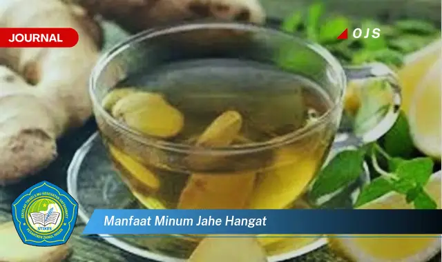 manfaat minum jahe hangat