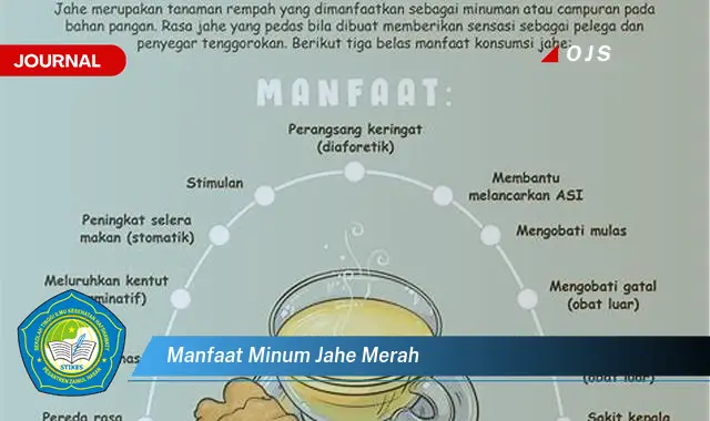 manfaat minum jahe merah manfaat minum jahe merah