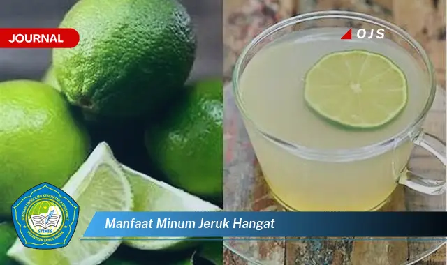 manfaat minum jeruk hangat manfaat minum jeruk hangat