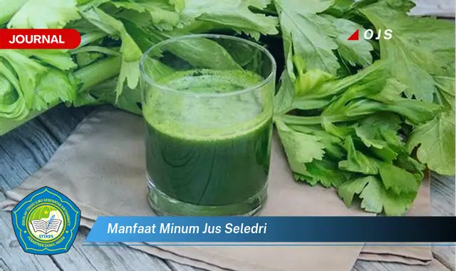 manfaat minum jus seledri