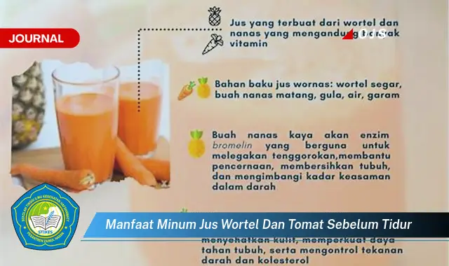 manfaat minum jus wortel dan tomat sebelum tidur manfaat minum jus wortel dan tomat sebelum tidur