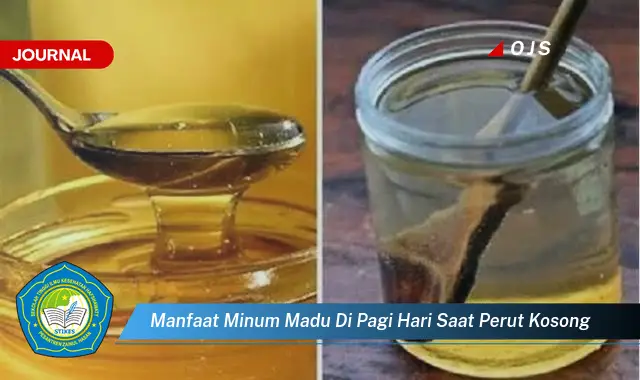 manfaat minum madu di pagi hari saat perut kosong