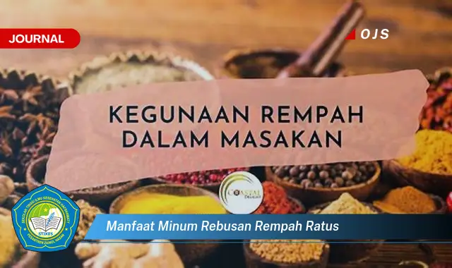 manfaat minum rebusan rempah ratus