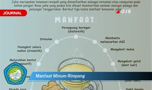 manfaat minum rimpang