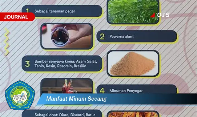 manfaat minum secang