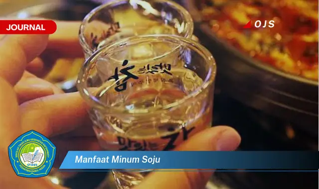 manfaat minum soju manfaat minum soju
