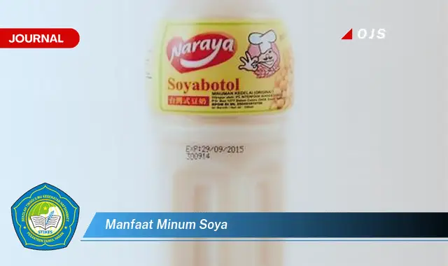 manfaat minum soya