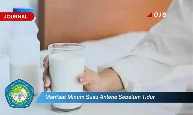 manfaat minum susu anlene sebelum tidur